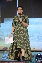 Naa Peru Surya Naa Illu India Pre Release Event Photos